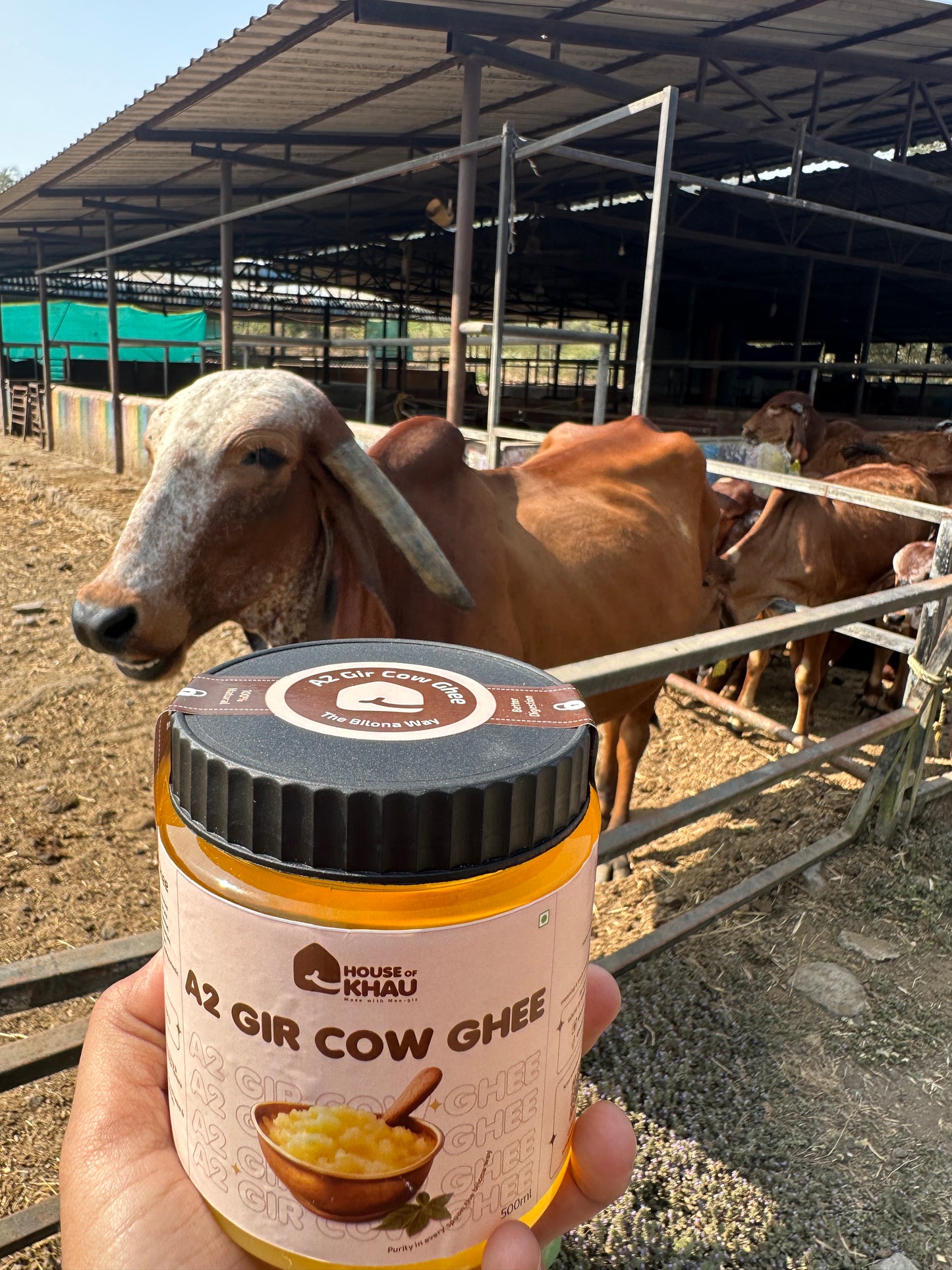 A2 Gir Cow Ghee -  Ghar jaisa ghee